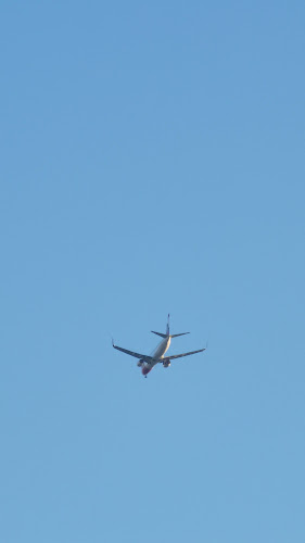 Starbucks - Γαστρονομία και φιλοξενία