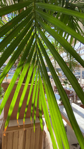 Opinii despre Kadena în Μύκονος - Γαστρονομία και φιλοξενία