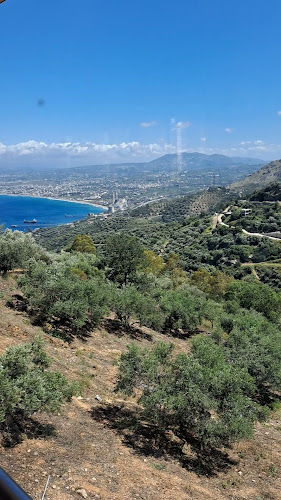 Comentarii opinii despre Ταβέρνα Το Ρόδι - Αρνί Αντικριστό