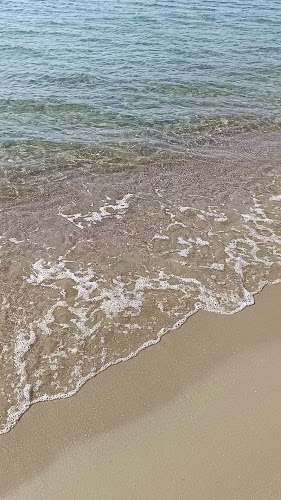 Comentarii opinii despre SARAVAR BEACH BAR