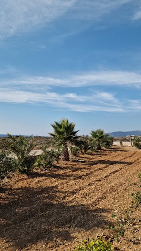 Taverne Kedros - Κάρπαθος