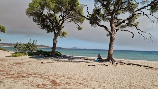 schinias bay - Γαστρονομία και φιλοξενία