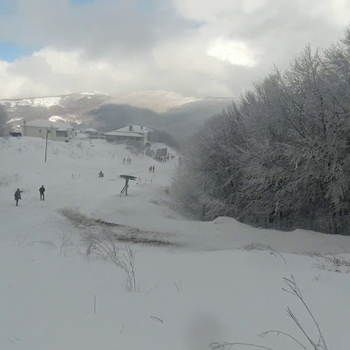 Opinii despre Ο Πατής 'Οινομαγειρέματα' în Ζαγορά - Γαστρονομία και φιλοξενία