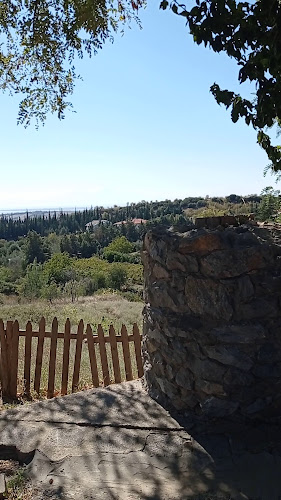 ΓΙΑΓΚΟΥΛΑΣ