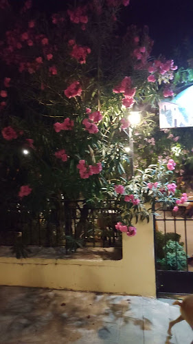 ΜΥΡΙΟΦΥΤΟ - Επάνω Αρχάνες