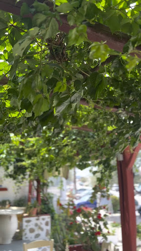 Opinii despre AROMA Traditional Tavern în Paros - Γαστρονομία και φιλοξενία