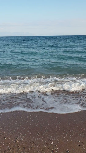 Comentarii opinii despre Caribbean Beach Bar & Restaurant