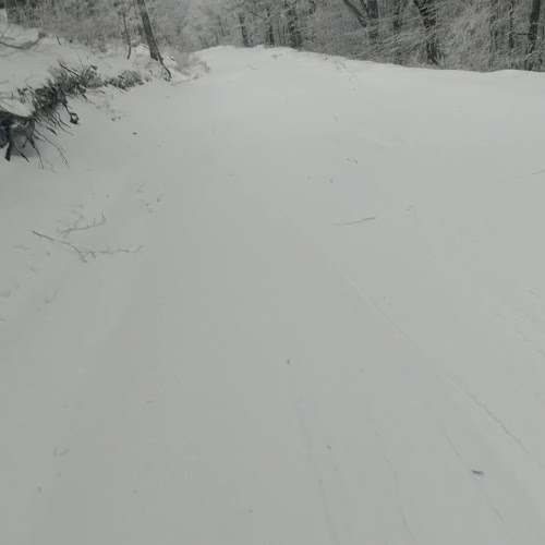 Ο Πατής 'Οινομαγειρέματα' - Ζαγορά