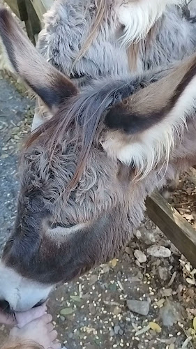 F3GH+CQ, Καρύταινα 220 22