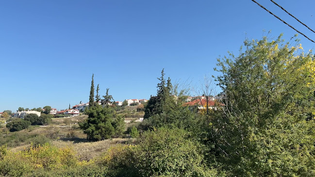 D Coffeehouse&Cocktail Bar