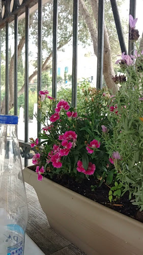 Ταβέρνα Η Ακρόπολη - Γαστρονομία και φιλοξενία