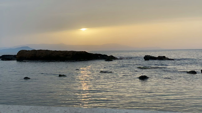 Comentarii opinii despre Periplous Restaurant