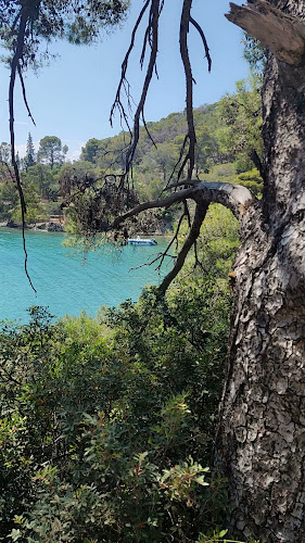 Λεωφόρος Λαμπράκη, Πόρος 180 20