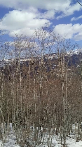 ΤΕΛΕΦΕΡΙΚ - Μέτσοβο