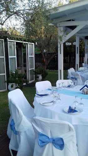 ΚΤΗΜΑ ΛΙΑΡΟΣ ΕΛΑΙΩΝΑΣ