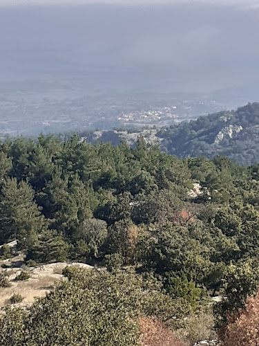 Ταβέρνα *Ο Σίμος* - Γαστρονομία και φιλοξενία