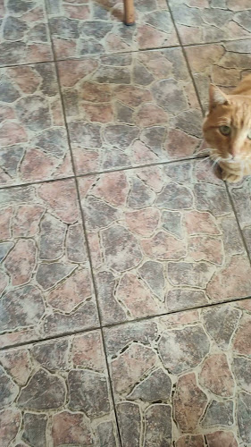 Ταβέρνα Αντώνης οικογενειακή χαρά