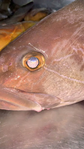 Giousouro - Γαστρονομία και φιλοξενία