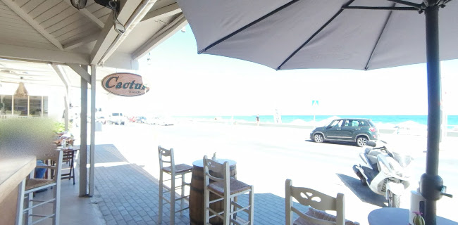 Cactus - Ρέθυμνο