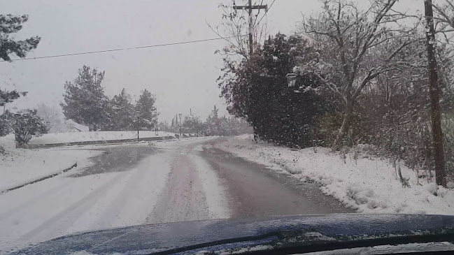Λόφος Cafe Bar | Breakfast, Lunch, Coffee, Dinner - Γαστρονομία και φιλοξενία