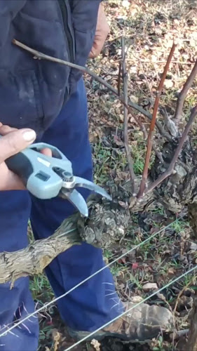 Opinii despre ΟΡΦΑΝΟΥ, ΑΦΟΙ, ΔΙΑΔΟΧΟΙ Π. ΝΙΝΙΡΑΚΗ ΙΚΕ"ΑΓΡΟΓΕΩΠΟΝΙΚΗ ΚΡΗΤΗΣ" în Ξεροπόταμος - Γαστρονομία και φιλοξενία