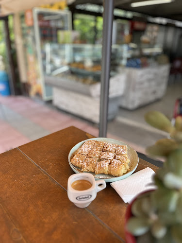 Παλατίνιος - Λουτρά Αιδηψού