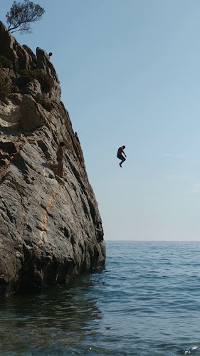 Taverna Maria - Γαστρονομία και φιλοξενία