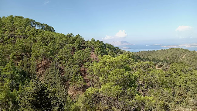 Zeus Local Products - Γαστρονομία και φιλοξενία