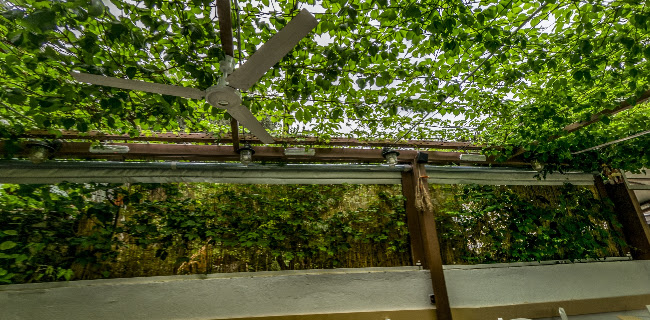 Taverna klimataria - Πάτρα