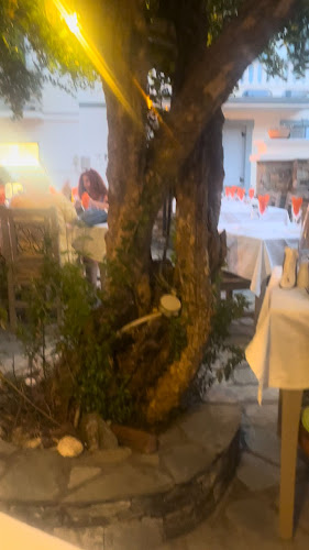 Χυμού, Σκόπελος 370 03