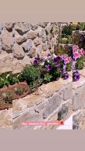 Thanos coffee all day bar - Ερμιόνη