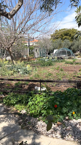 Opinii despre To Perivoli sti Vari în Βάρη - Γαστρονομία και φιλοξενία