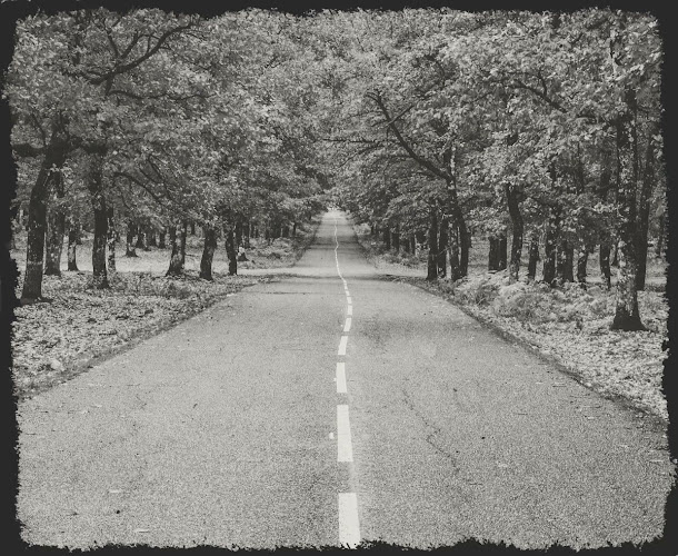 Opinii despre Lazy club Next Generation în Βριλήσσια - Γαστρονομία και φιλοξενία