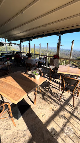 Opinii despre στα ριζά în Ιωάννινα - Γαστρονομία και φιλοξενία