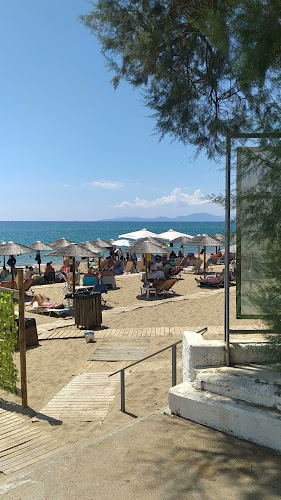 Opinii despre Thines în Βαρθολομιό - Γαστρονομία και φιλοξενία