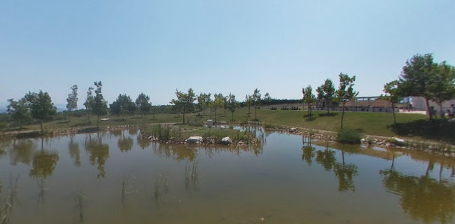 Λίμνη Μουσών - Θήβα