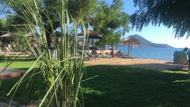 Opinii despre Natura Restaurant în Γιάλοβα - Γαστρονομία και φιλοξενία