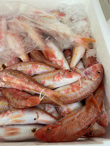 Ψαροταβέρνα Νέα Ζωή Πέππας - Κάλαμος