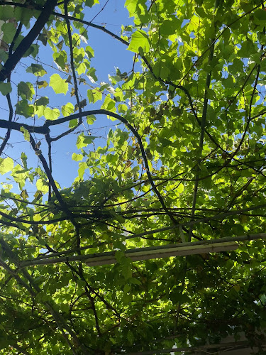 Τριαντάφυλλος - Η Μικρή Πλατεία - Παλαιόκαστρο