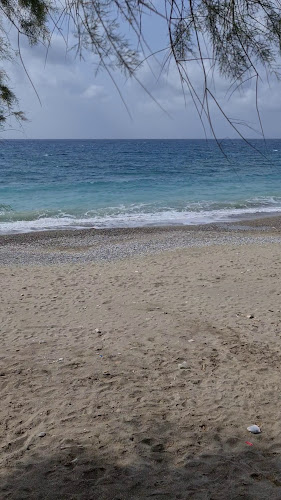 Comentarii opinii despre EGO ALL DAY BAR