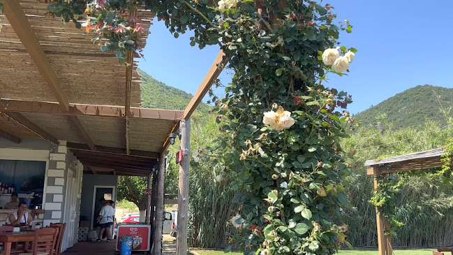 Opinii despre Antisamos Beach Bar în Κεφαλονιά - Γαστρονομία και φιλοξενία