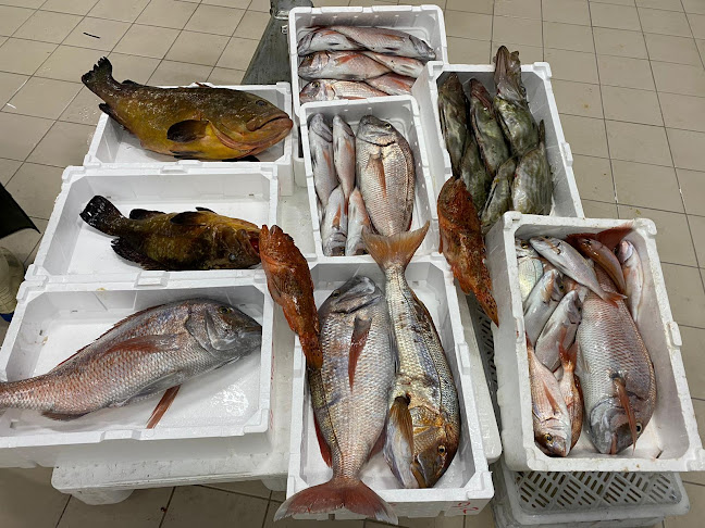 Opinii despre ΣΥΝΟΔΙΝΟΣ ΚΩΝΣΤΑΝΤΙΝΟΣ în Καβάλα - Γαστρονομία και φιλοξενία