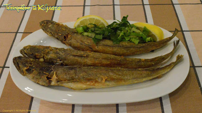 Opinii despre Τσιπουράδικο "ΤΑ ΚΥΜΑΤΑ" în Βόλος - Γαστρονομία και φιλοξενία