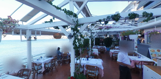 Comentarii opinii despre Il Camino