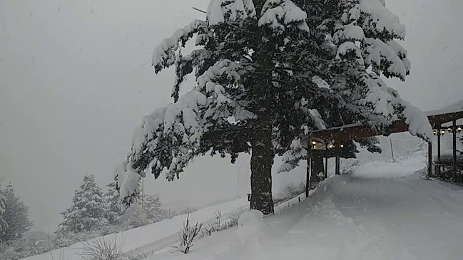 ΕΟ Τρικάλων Ιωαννίνων, Μέτσοβο 442 00