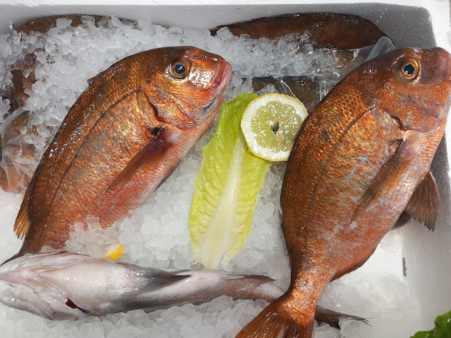 Opinii despre Ιχθυοπωλείο "ο Σαρωνικός" în Άγιοι Θεόδωροι - Γαστρονομία και φιλοξενία