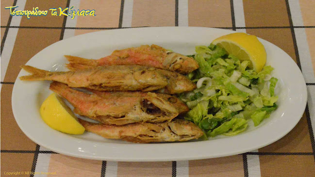 Τσιπουράδικο "ΤΑ ΚΥΜΑΤΑ" - Γαστρονομία και φιλοξενία