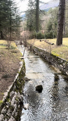 Comentarii opinii despre Στανη