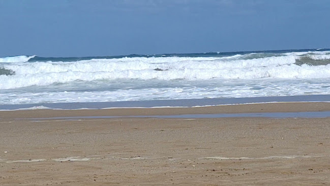 Paradise beach bar - Γαστρονομία και φιλοξενία