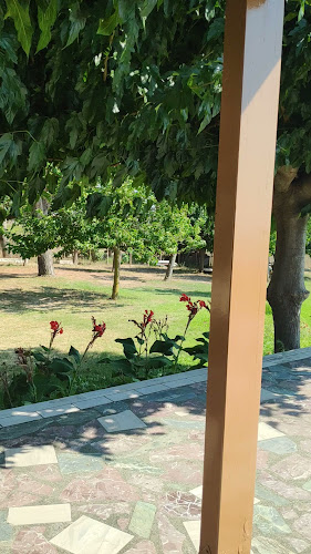 Opinii despre ΤΟ ΚΟΡΑΛΛΙ în Κανάλι - Γαστρονομία και φιλοξενία